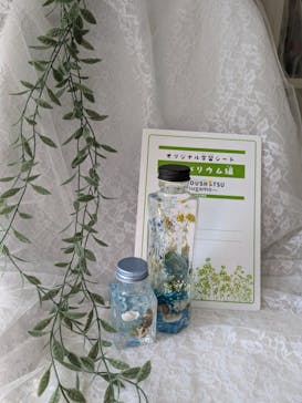 ずこうしつ〜sugamo〜に投稿された画像（2024/8/21）