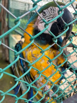 那須ワールドモンキーパークに投稿された画像（2024/8/21）