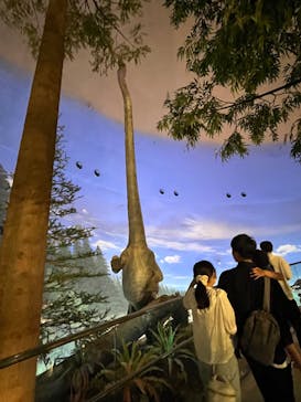 福井県立恐竜博物館に投稿された画像（2024/8/21）