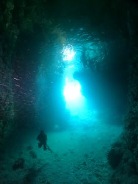 武藤潜水に投稿された画像（2024/8/21）