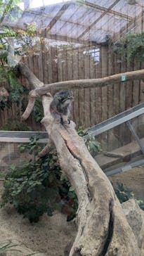 神戸どうぶつ王国に投稿された画像（2024/8/22）