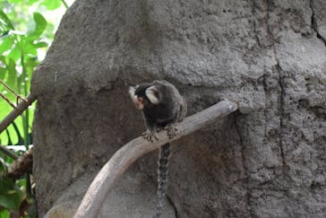 神戸どうぶつ王国に投稿された画像（2024/8/22）