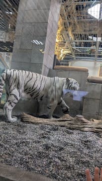 NIFREL（ニフレル）に投稿された画像（2024/8/22）