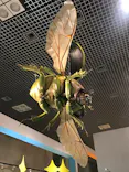 特別展「昆虫 MANIAC」（国立科学博物館）に投稿された画像（2024/8/22）