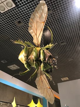 特別展「昆虫 MANIAC」（国立科学博物館）に投稿された画像（2024/8/22）