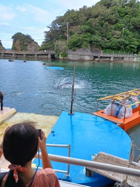 下田海中水族館に投稿された画像（2024/8/22）