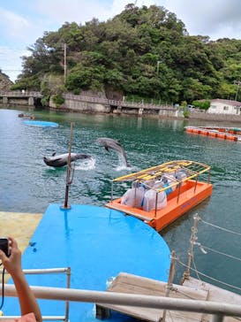 下田海中水族館に投稿された画像（2024/8/22）