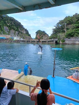 下田海中水族館に投稿された画像（2024/8/22）
