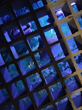 マクセル アクアパーク品川に投稿された画像（2024/8/22）