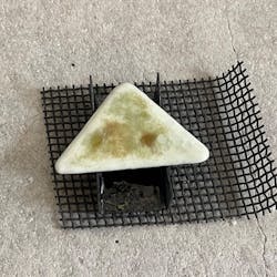 Switch.T（スイッチドットティー）に投稿された画像（2024/8/22）