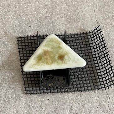 Switch.T（スイッチドットティー）に投稿された画像（2024/8/22）