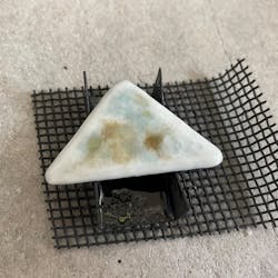 Switch.T（スイッチドットティー）に投稿された画像（2024/8/22）