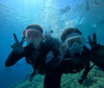 武藤潜水に投稿された画像（2024/8/22）