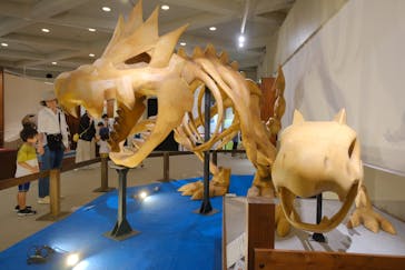 岐阜県博物館に投稿された画像（2024/8/22）