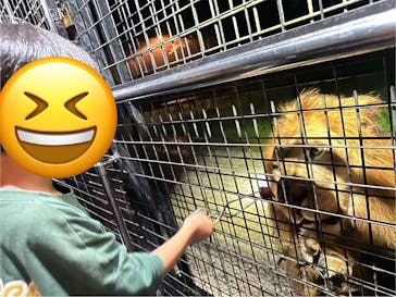 那須サファリパークに投稿された画像（2024/8/22）