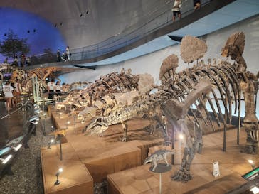 福井県立恐竜博物館に投稿された画像（2024/8/22）