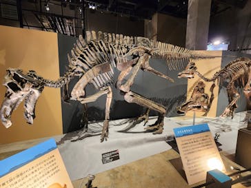 福井県立恐竜博物館に投稿された画像（2024/8/22）