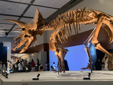 DinoScience 恐竜科学博 ～ララミディア大陸の恐竜物語～ 2024@OSAKAに投稿された画像（2024/8/22）