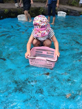 軽井沢おもちゃ王国に投稿された画像（2024/8/22）