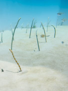 アクアワールド茨城県大洗水族館に投稿された画像（2024/8/22）