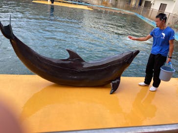 越前松島水族館に投稿された画像（2024/8/22）