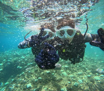 沖縄マリンサービス碧に投稿された画像（2024/8/22）