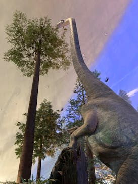 福井県立恐竜博物館に投稿された画像（2024/8/22）