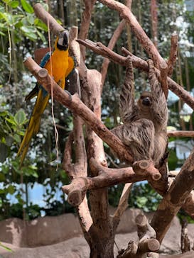 神戸どうぶつ王国に投稿された画像（2024/8/22）