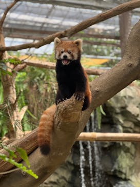 神戸どうぶつ王国に投稿された画像（2024/8/22）