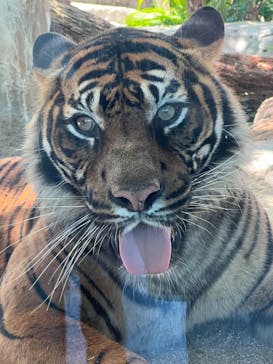 神戸どうぶつ王国に投稿された画像（2024/8/22）