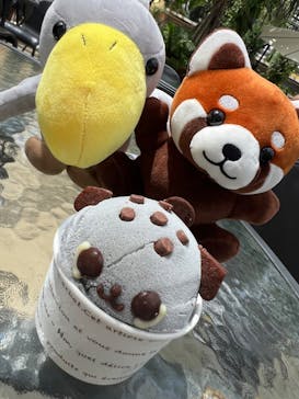 神戸どうぶつ王国に投稿された画像（2024/8/22）