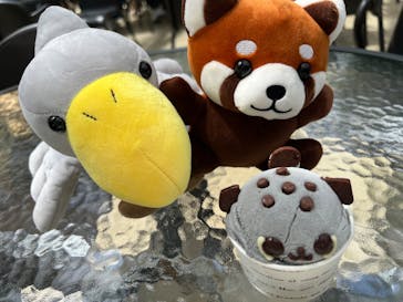 神戸どうぶつ王国に投稿された画像（2024/8/22）