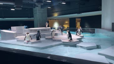 AOAO SAPPOROに投稿された画像（2024/8/22）