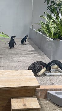 AOAO SAPPOROに投稿された画像（2024/8/22）