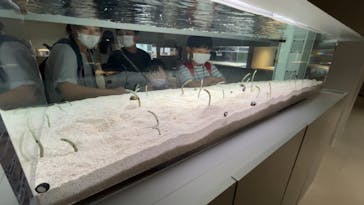 AOAO SAPPOROに投稿された画像（2024/8/22）