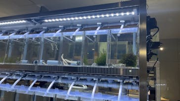 AOAO SAPPOROに投稿された画像（2024/8/22）