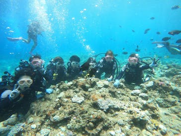 武藤潜水に投稿された画像（2024/8/22）