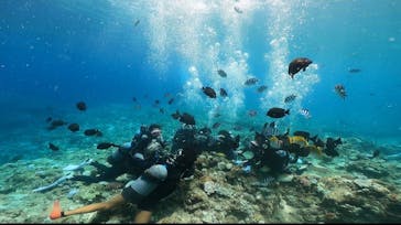 武藤潜水に投稿された画像（2024/8/22）