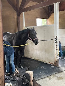 ノーザンホースパークに投稿された画像（2024/8/22）