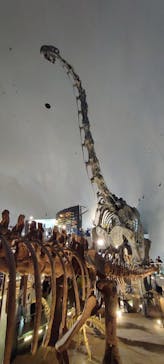 福井県立恐竜博物館に投稿された画像（2024/8/22）