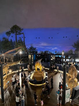 福井県立恐竜博物館に投稿された画像（2024/8/22）