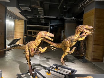 福井県立恐竜博物館に投稿された画像（2024/8/22）