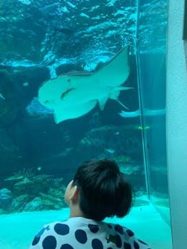 名古屋港水族館に投稿された画像（2024/8/22）
