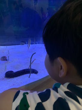 名古屋港水族館に投稿された画像（2024/8/22）