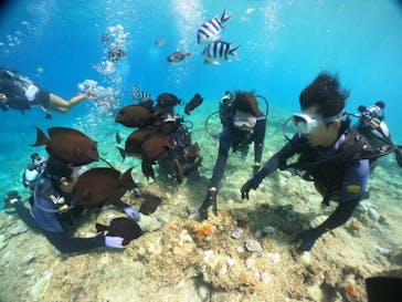 武藤潜水に投稿された画像（2024/8/22）