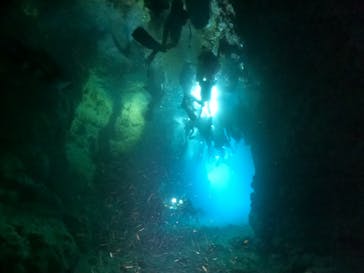 武藤潜水に投稿された画像（2024/8/22）