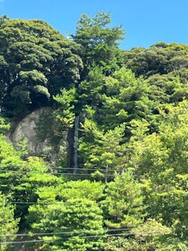 足立美術館に投稿された画像（2024/8/22）