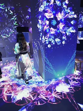 マクセル アクアパーク品川に投稿された画像（2024/8/22）