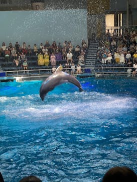 マクセル アクアパーク品川に投稿された画像（2024/8/22）