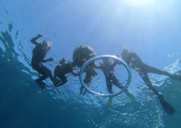 武藤潜水に投稿された画像（2024/8/22）